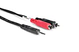 Hosa Stereo Breakout 3.5 Mm TRS To Dual RCA 6 Ft