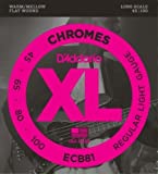 D'Addario ECB81 Chromes Bass Guitar Strings Light 45-100 Long Scale