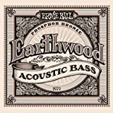 Ernie Ball Earthwood Acoustic Bass