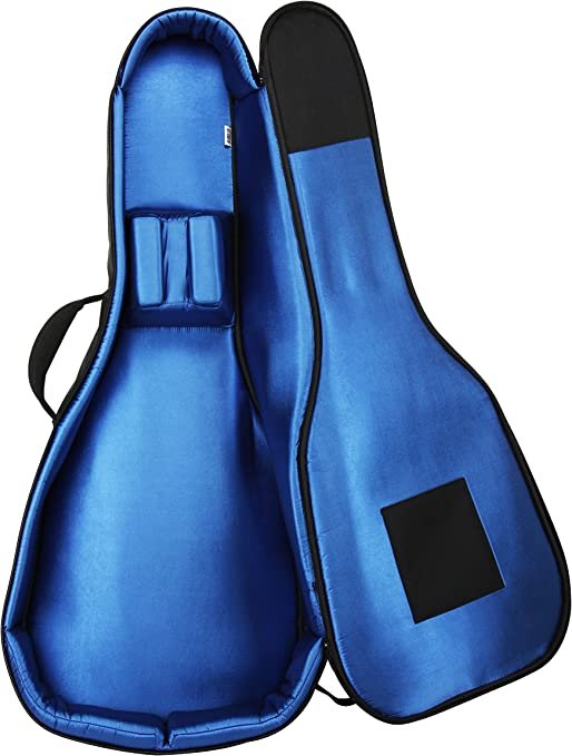 RBX Reunion Blues Small Body Acoustic / Classical Guitar Gig Bag