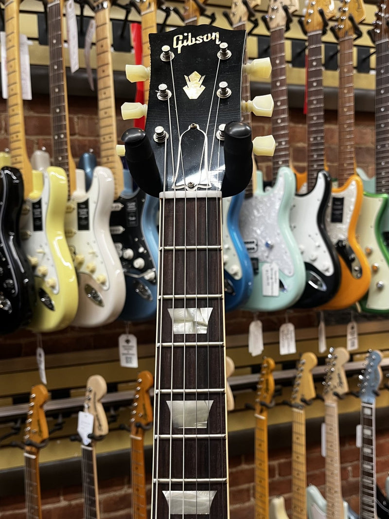 2024 Gibson Murphy Lab &