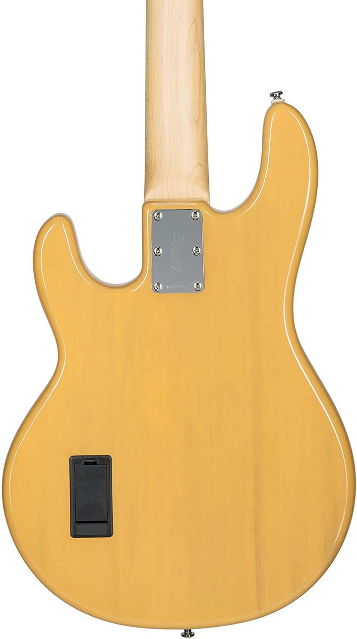 Classic StingRay 5 | Basses | Ernie Ball Music Man