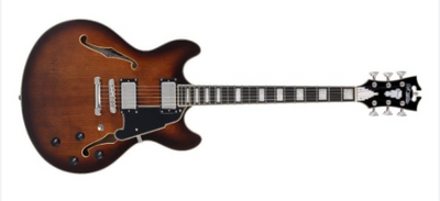 D'Angelico Premier DC- Brown Burst- Gig Bag