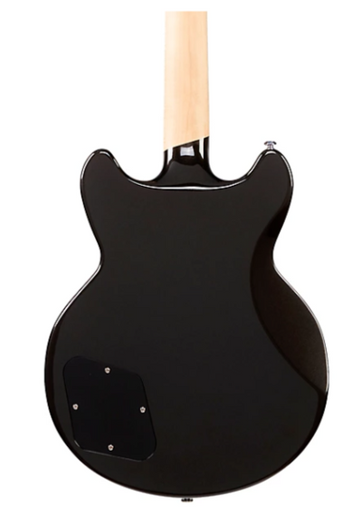 D'Angelico Premier Brighton - Black Flake