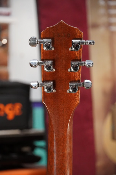 Deering D6 Deluxe 6-String Banjitar