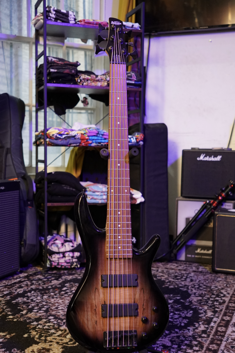 Ibanez GSR206SM 6-String Bass Guitar