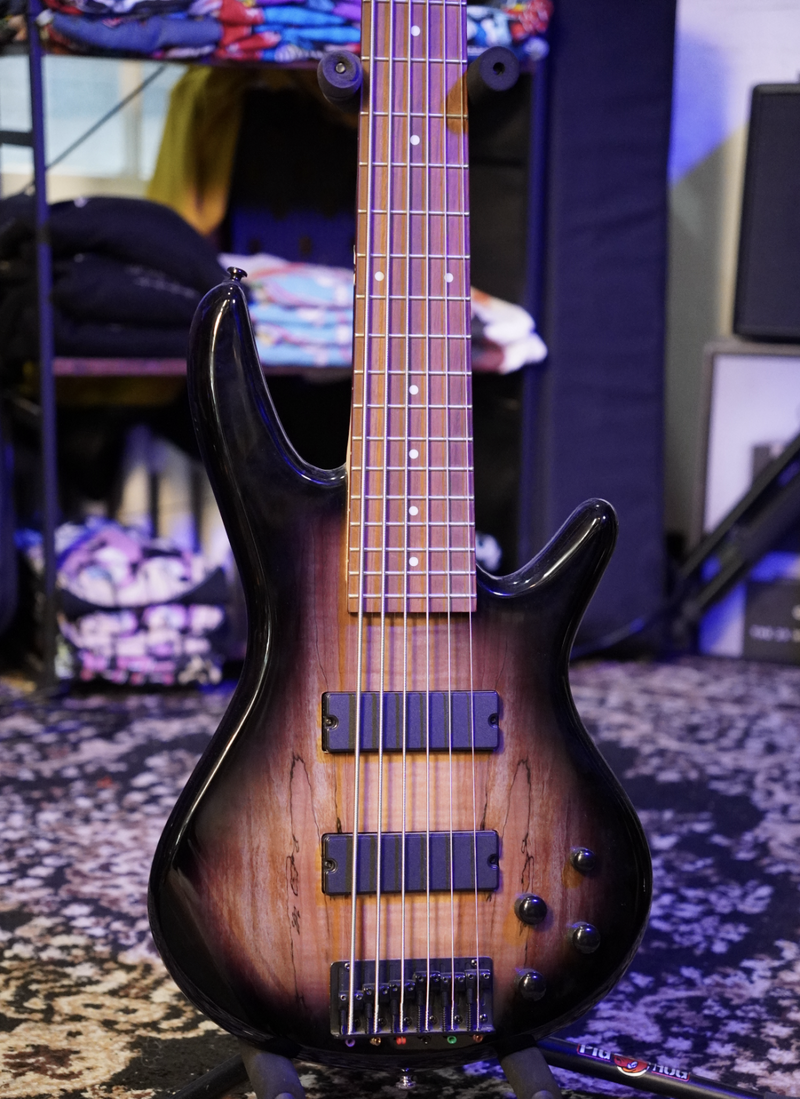 Ibanez GSR206SM 6-String Bass Guitar