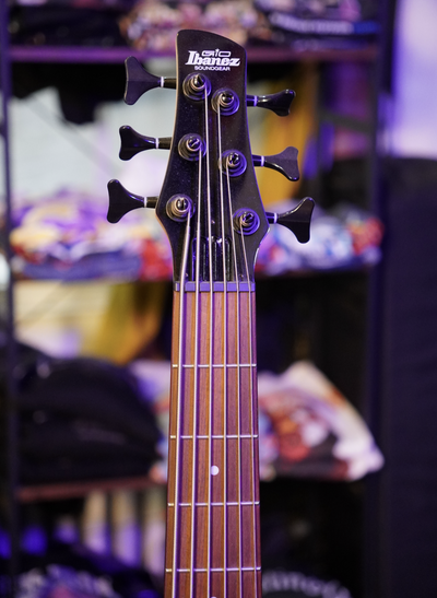 Ibanez GSR206SM 6-String Bass Guitar