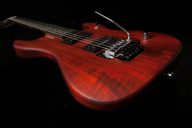 Washburn N24PSVINTAGEK Nuno Bettencourt Series Double Cut Solid 6-String Electric Guitar w/Gig Bag