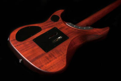 Washburn N24PSVINTAGEK Nuno Bettencourt Series Double Cut Solid 6-String Electric Guitar w/Gig Bag