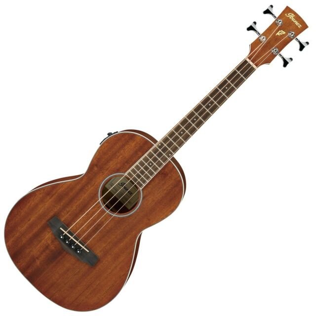 ibanez performance series acoustic parlor bass guitar